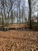 [Afbeelding: IMG_4172.jpg]