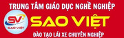 logo-truong-sao-viet