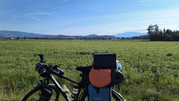 IMG-20260602-080919654