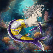 clownfish tail yellow purple_splash