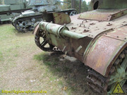 IMG-6431