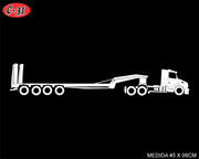 C-31