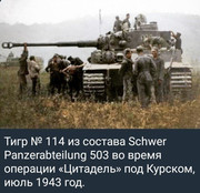 https://i.postimg.cc/Jsg9qkWd/photo-2026-05-28-01-03-43.jpg