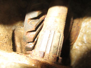 IMG-6500.jpg