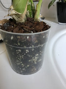 8DCC6F19-43C6-4C5F-A6A2-3FE96452E299