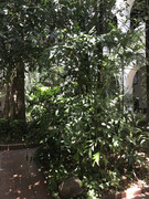 IMG-8885