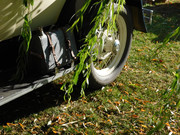 DSCN1034.jpg