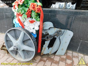 DSCN4296