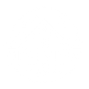 OpalView Logo