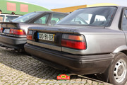IMG-0248