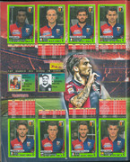 Album-Calciatori-2014-2015-Panini-030
