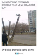 im not coming down