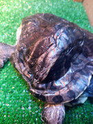 IMG_20250921_213340_220