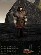 pancerze i ubrania (9)