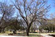 DSC-0033