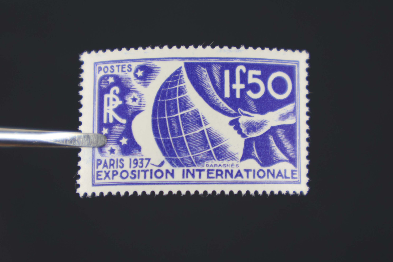 IMG 0507