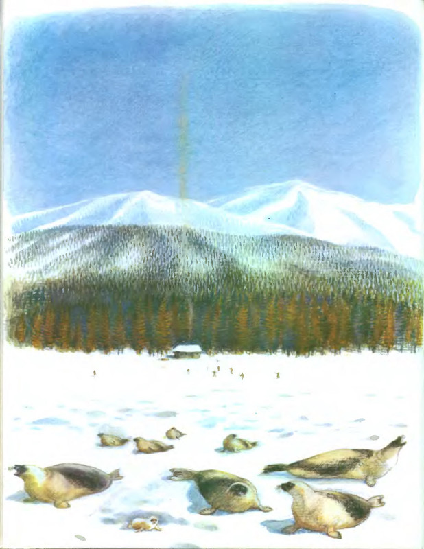 p0020