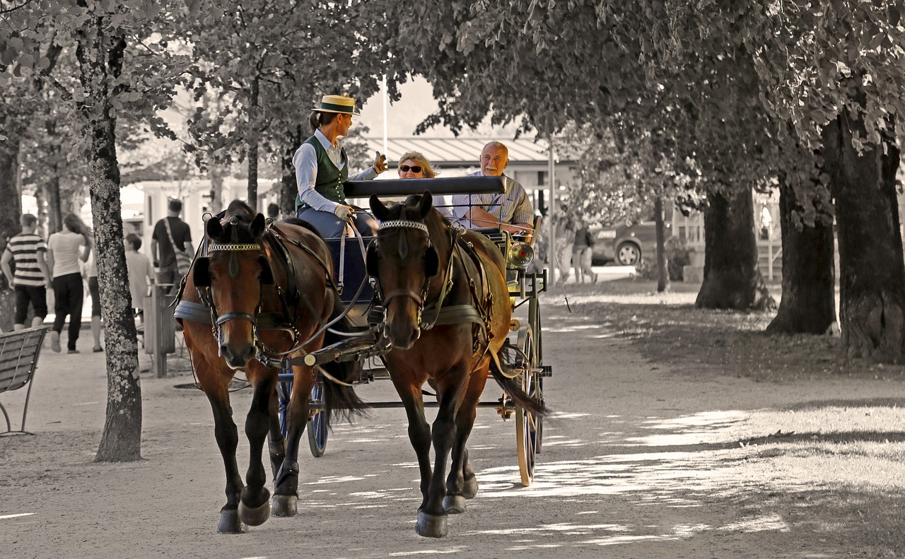 brown-horses-promenade-670684-1280.jpg