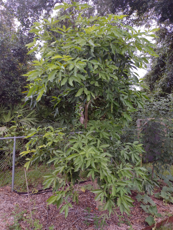 IMG_20220830_173026205