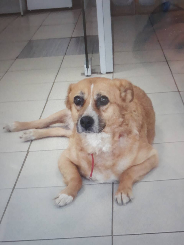 7F2C4159-5C68-4EE9-9C60-9D4D9CAB7B48