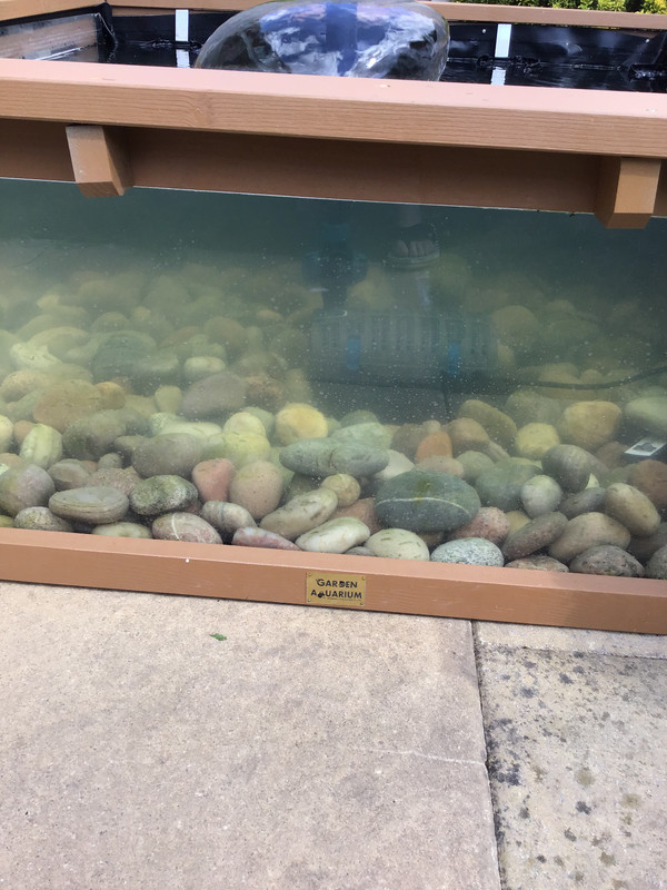 D10B7AAD-0D35-4BA1-A0CA-82C9D29E2132