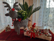 https://i.postimg.cc/JtDMPb7m/20201129-123142.jpg