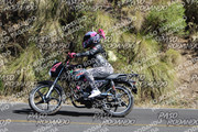 IMG-1358