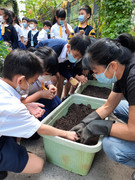 photo-littlefarmer2223-1A-007