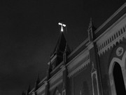 29.1.a celebration of tragedy