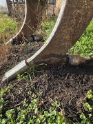 IMG 54472911d8c0dbc3e1f29ccce4381509 V