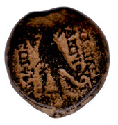 Seleciucida Antiochos VIII Smg-1267b