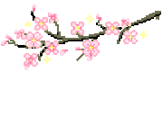 1b3b889d8e0de7767aada2724ff99e74