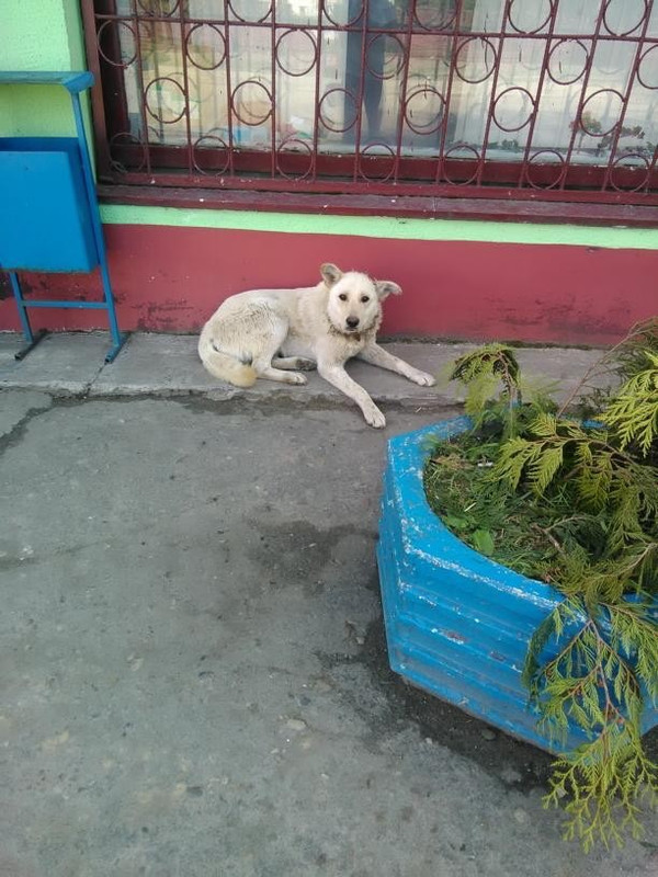 57C02D0C-B325-4559-A138-589CD765FAD3