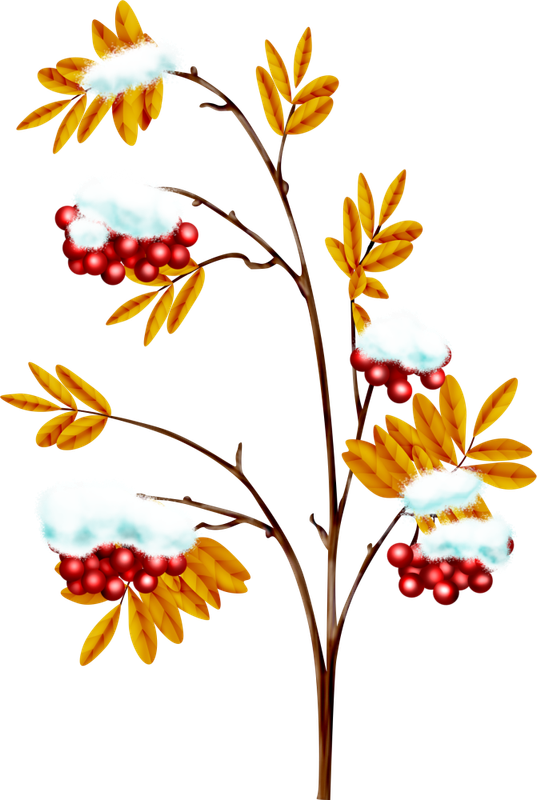 Christmas in Forest25