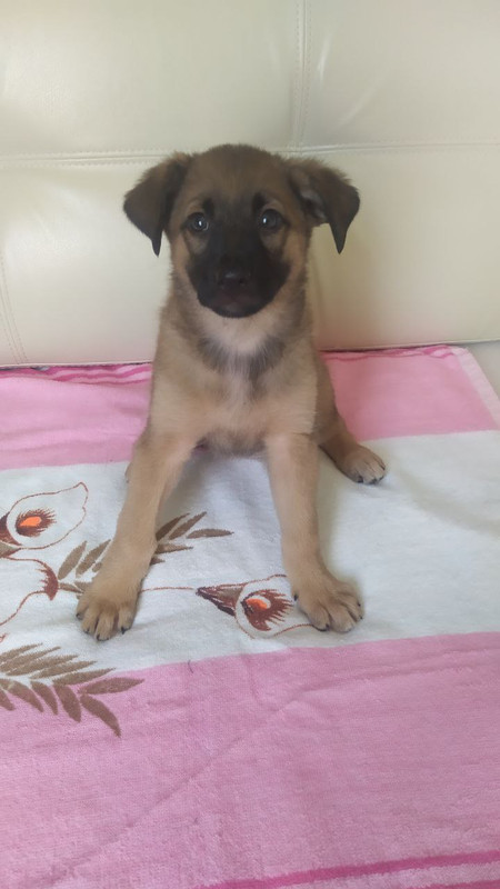 IMG_20210722_125817_620