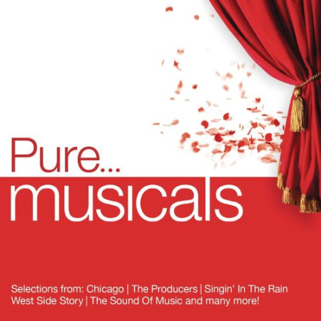 VA   Pure... Musicals [4CDs] (2013) MP3