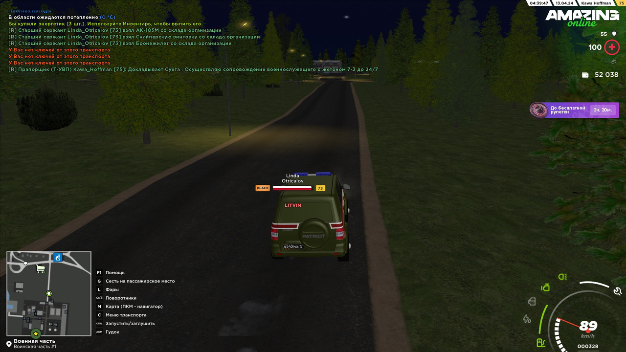 Сопровождение 39