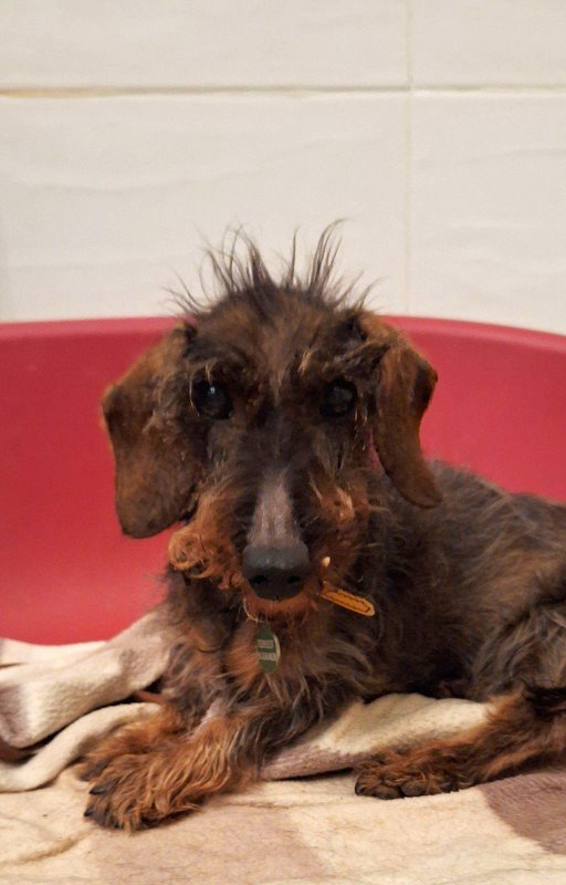 [Image: 20250210-192616.jpg]