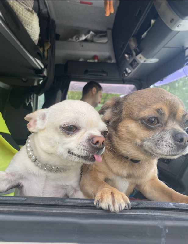 F4F2AEF1-20EE-4CB7-BE2A-700C1CE472C1