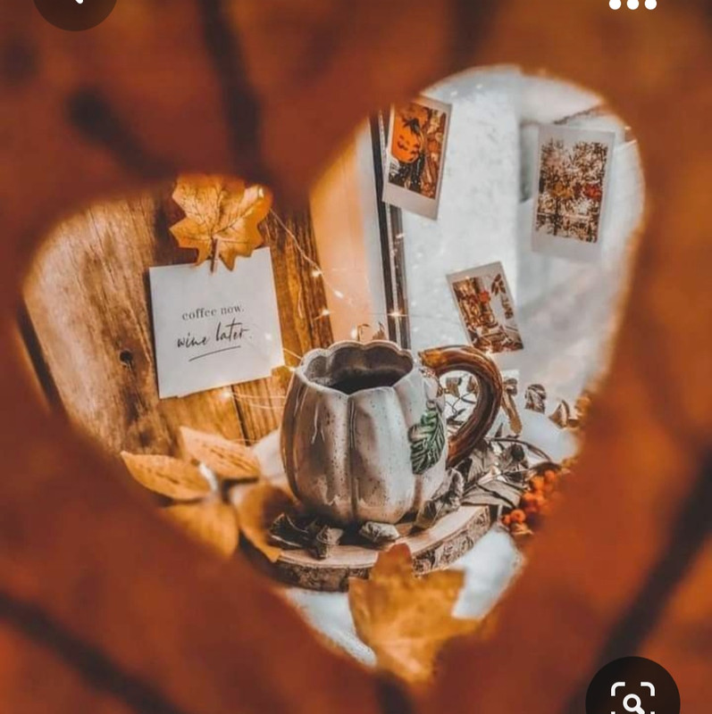 Screenshot_20231008_214341_Pinterest