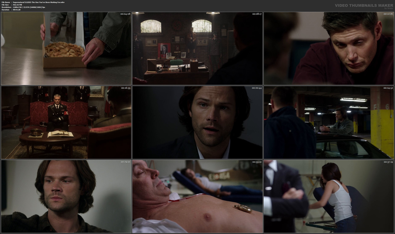 Supernatural S12E05 The One You've Been Waiting For.mkv