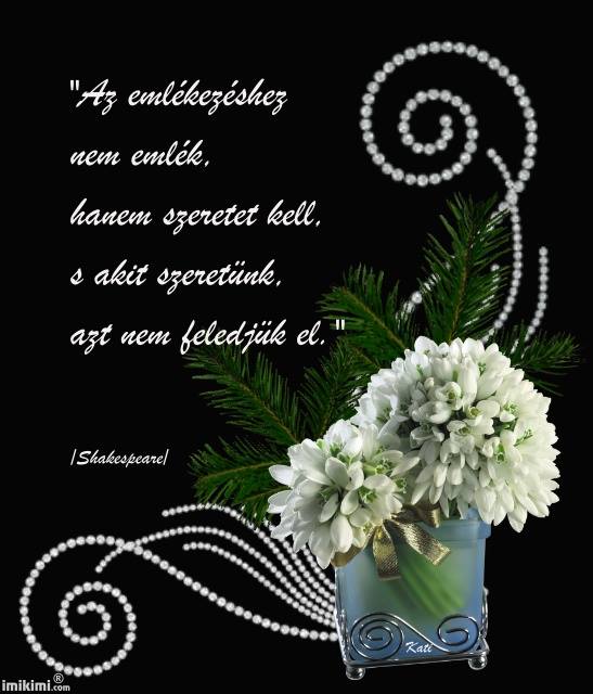 11025778_579526332147784_3051060708325698789_n