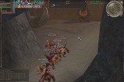 dv14.jpg