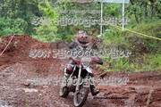 IMG-6310