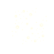 Christmasswishoffairydnlights2