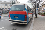 IMG-3181