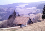 IMG-000011.jpg