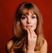 jean-shrimpton-me64