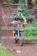 IMG-0463