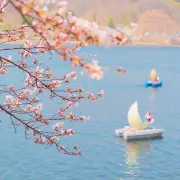 다음지도